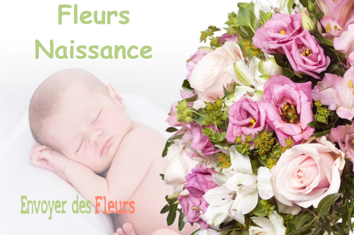 lIVRAISON FLEURS NAISSANCE à SAINT-FELIX-LAURAGAIS