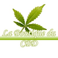 LA BOUTIQUE DU CBD SAINT-FELIX-LAURAGAIS 